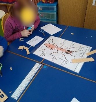 Projets Sciences à l’école maternelle Les lilas