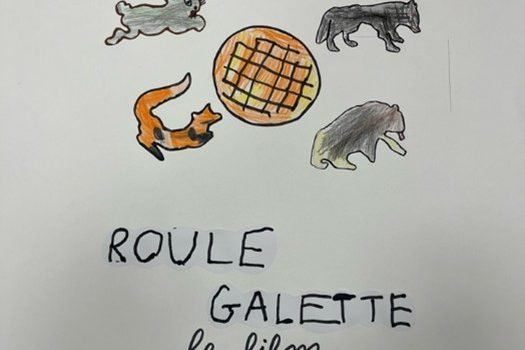 Réalisation d’une vidéo à partir d’un album en classe maternelle